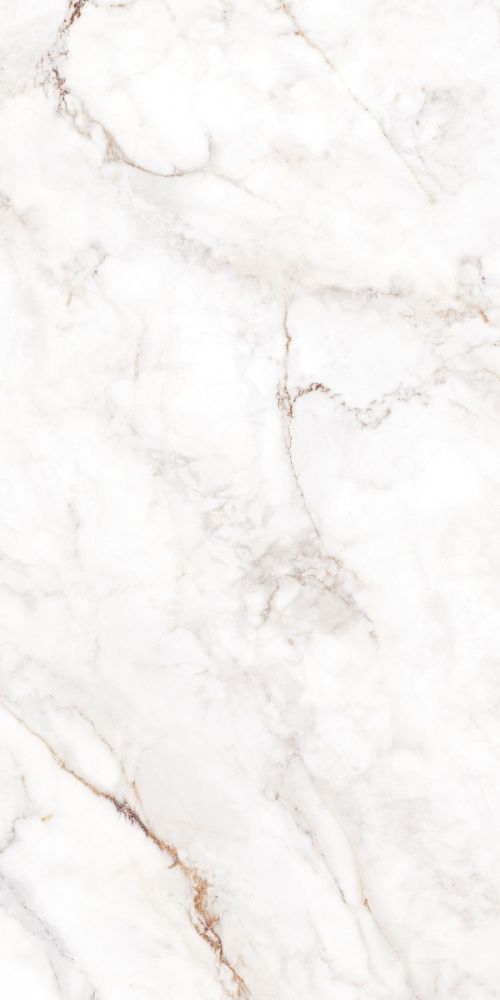 PALAZZO WHITE F P 600X1200X8 R SATIN 1L